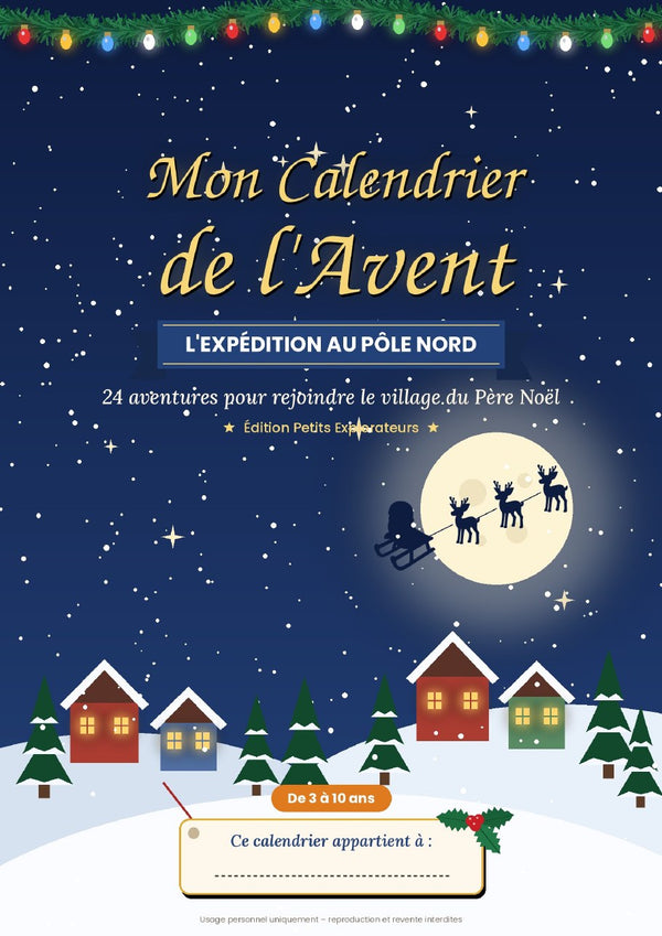 L'Expédition au Pôle Nord